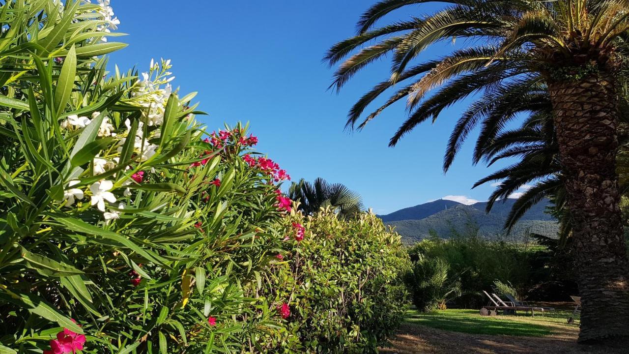 Auberge Du Roua Argelès-sur-Mer Dış mekan fotoğraf