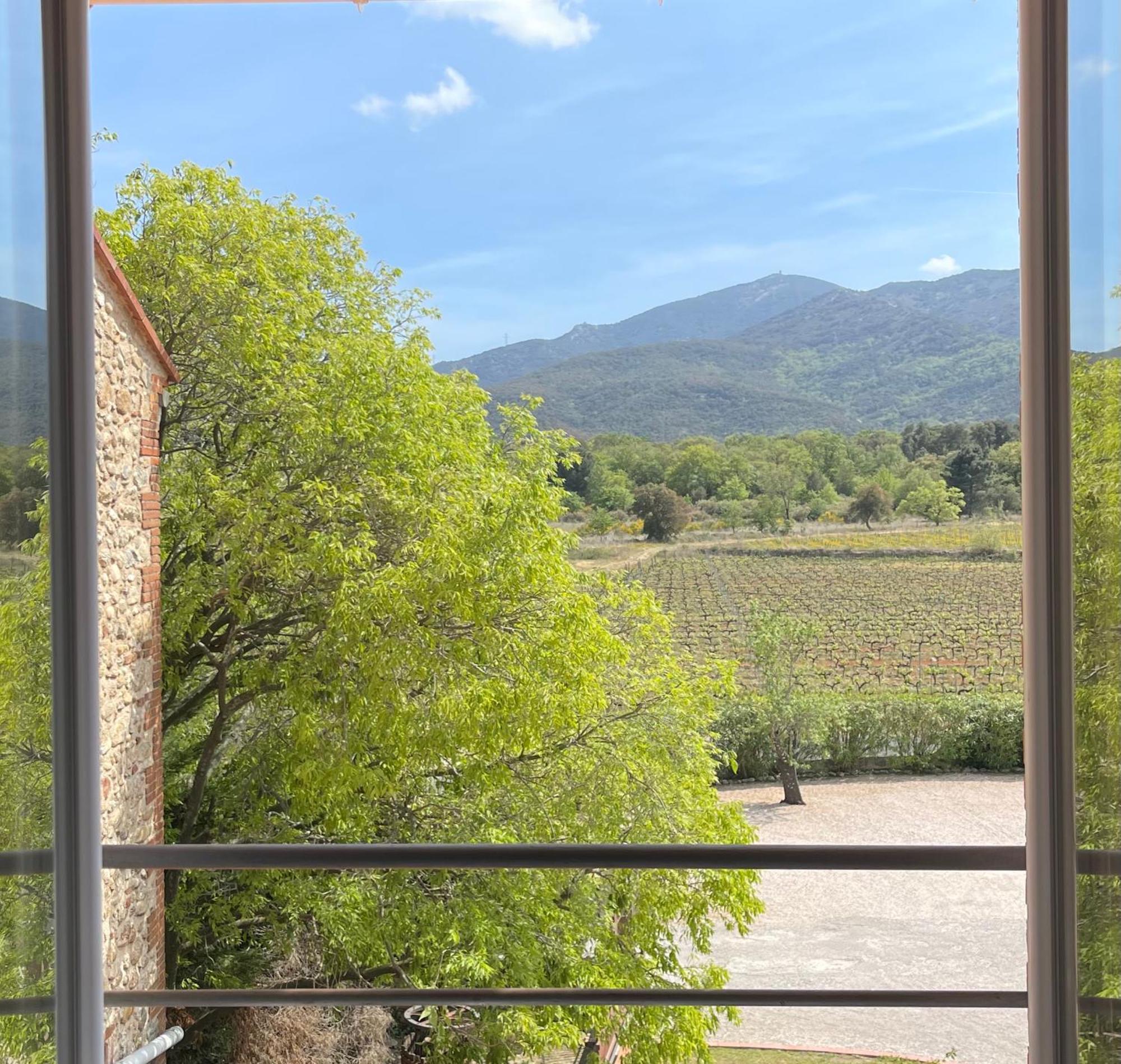 Auberge Du Roua Argelès-sur-Mer Dış mekan fotoğraf